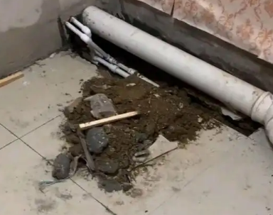 拉萨市卫生间漏水检测哪家好